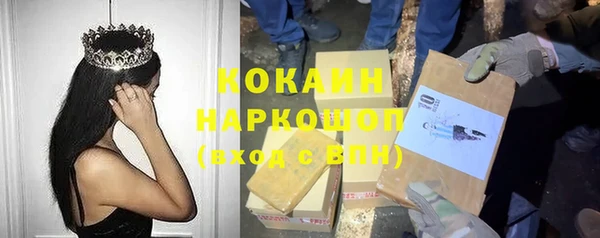 стафф Богородицк