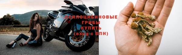 mix Бородино