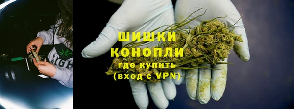 PSILOCYBIN Богданович