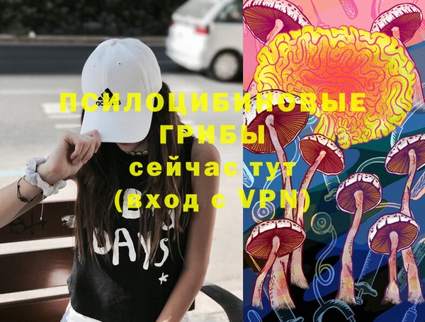 mix Бородино