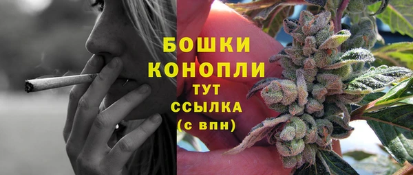 стафф Богородицк